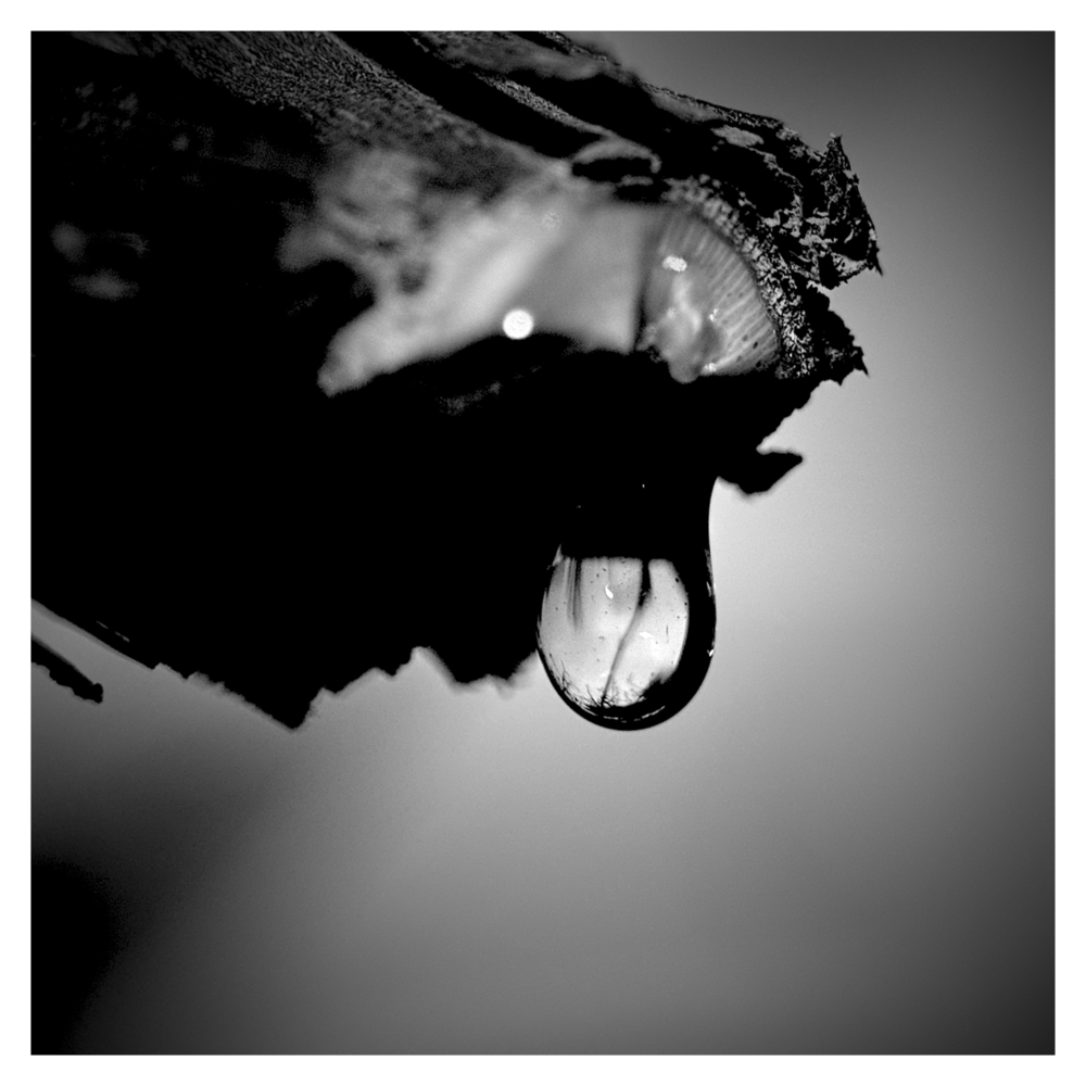 BlaX Macro - Black&White 8