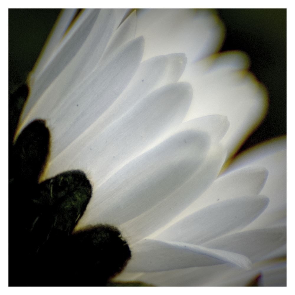 BlaX Macro - Color 2