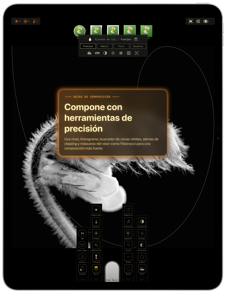 Preset sharing screenshot iPad