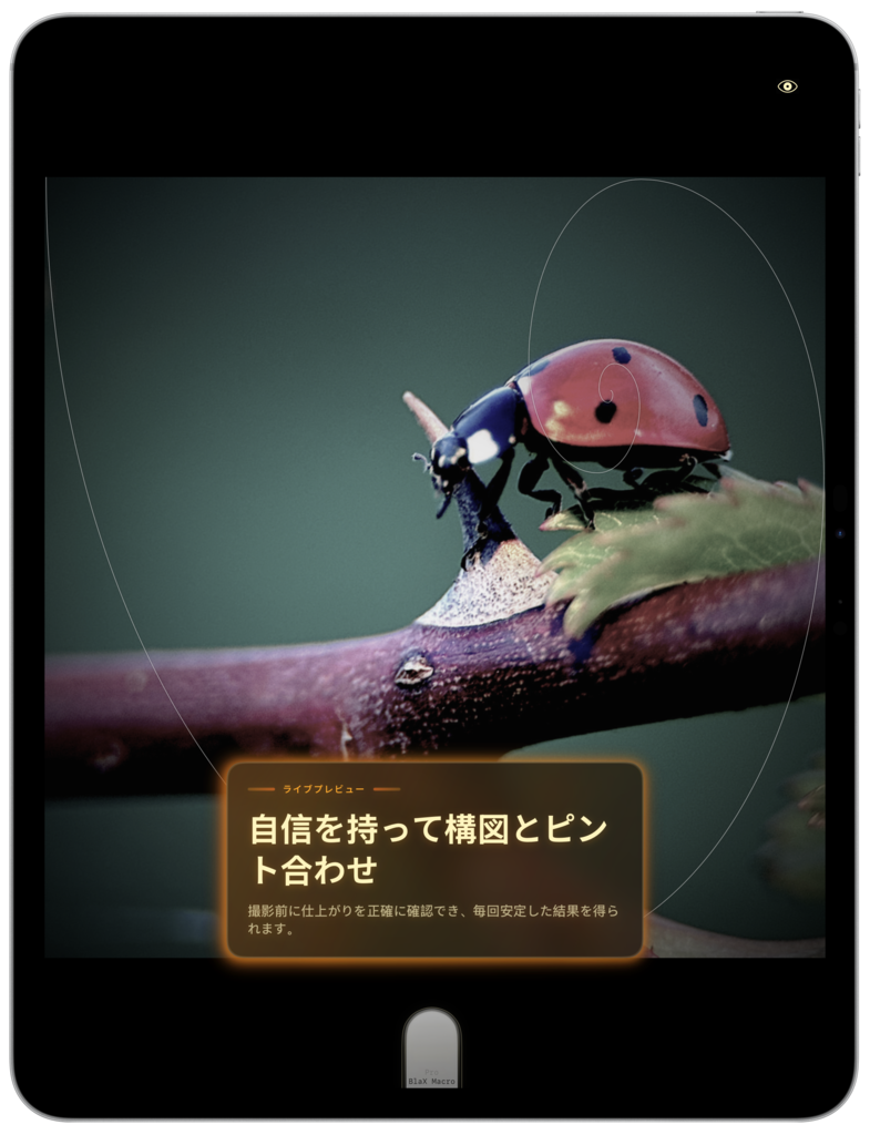 BlaX Macro iPad screenshot 2