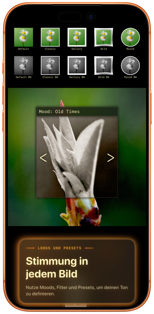 Live viewfinder screenshot iPhone
