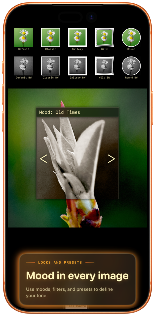 Live viewfinder screenshot iPhone