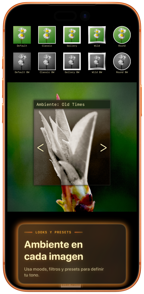 Live viewfinder screenshot iPhone