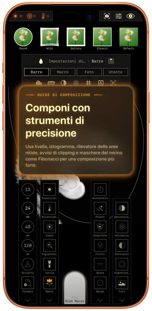 Preset sharing screenshot iPhone