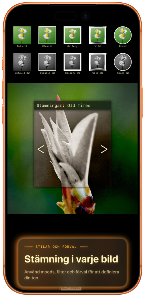 Live viewfinder screenshot iPhone